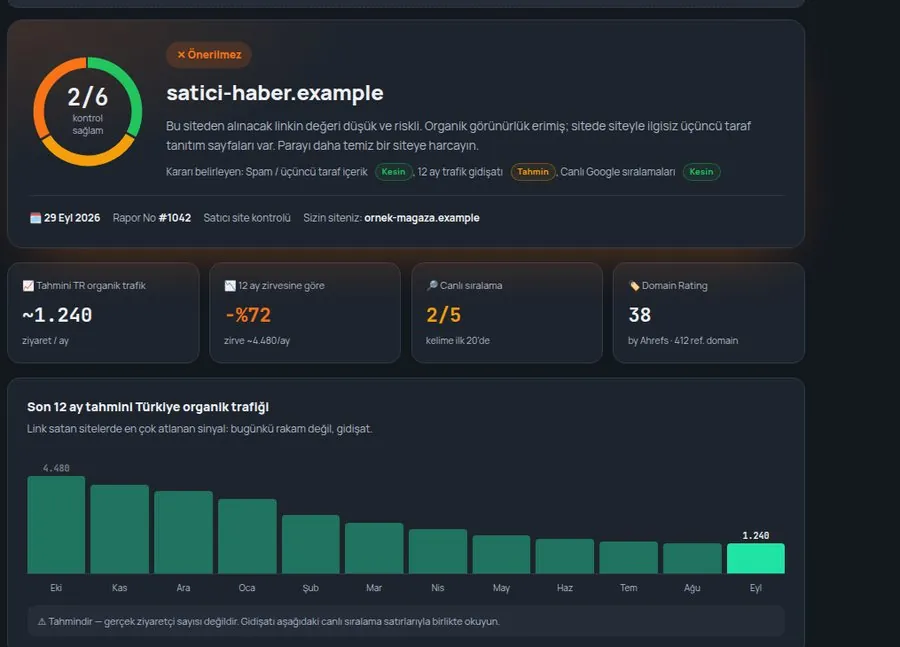 Örnek backlink kontrol raporu